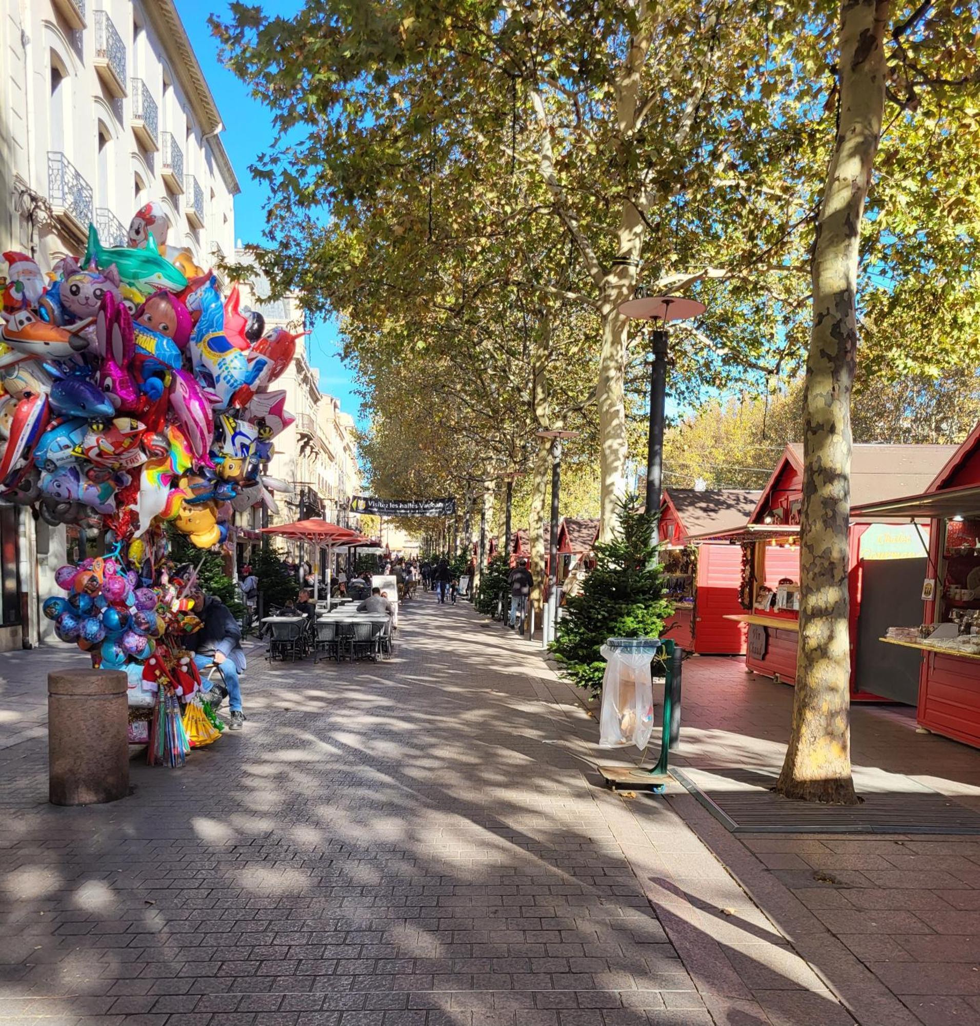 Superbe Batisse De Caractere, Coeur De Ville ペルピニャン エクステリア 写真